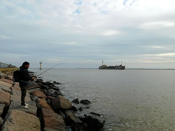 994288345BF7704E2FEB2E