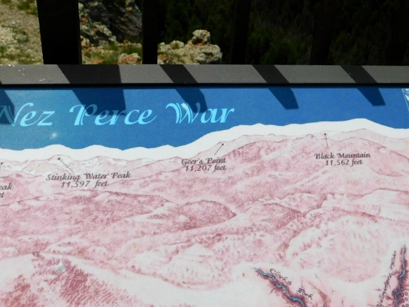 990A6F3C5B3B02EC1F4F37