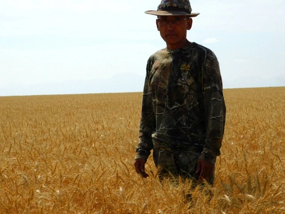 99BB4733599F9D8120B5CF