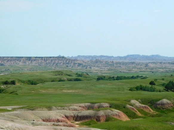 99DC0E445B4806D22A743F