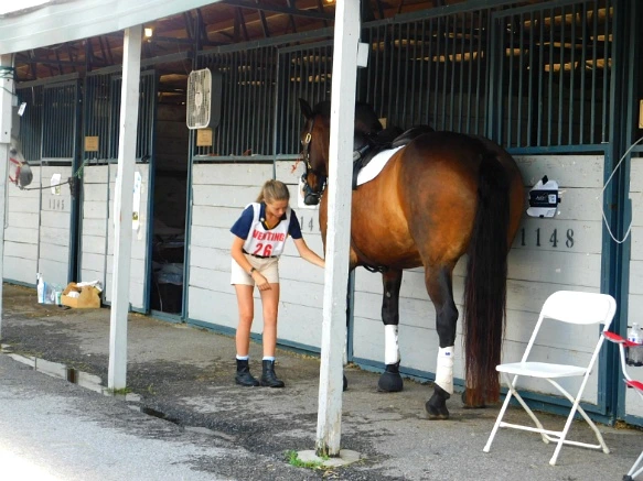 24448D33597D1717292C1F