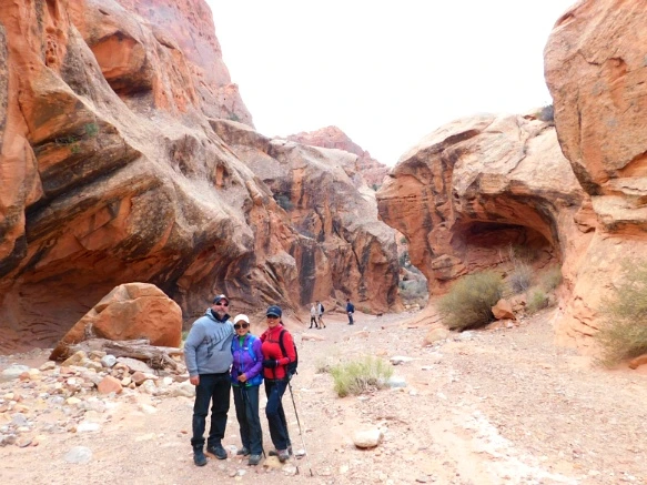 99EA08335A18D5111A7D39