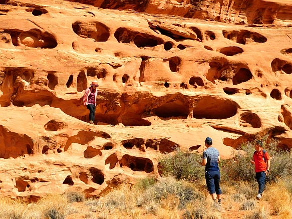 99E1064E5BBC788704DE86