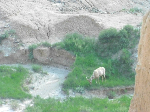 99AB50485B480AD00125E6