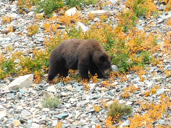 99FFA7445B949D3A1A4B95