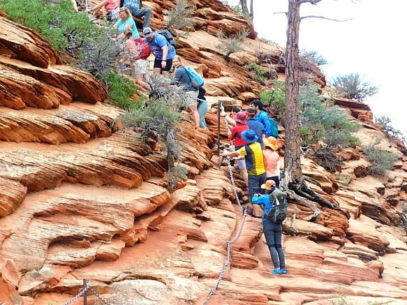 993BBC495BC698202911EC