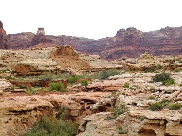 99DE053359B5E70B18861C