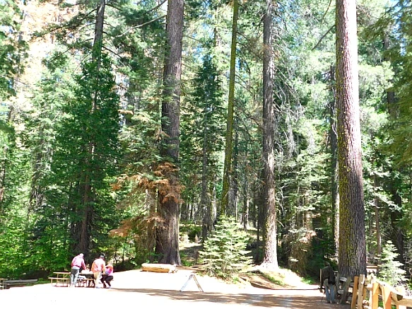 223F493C57736C3723E399