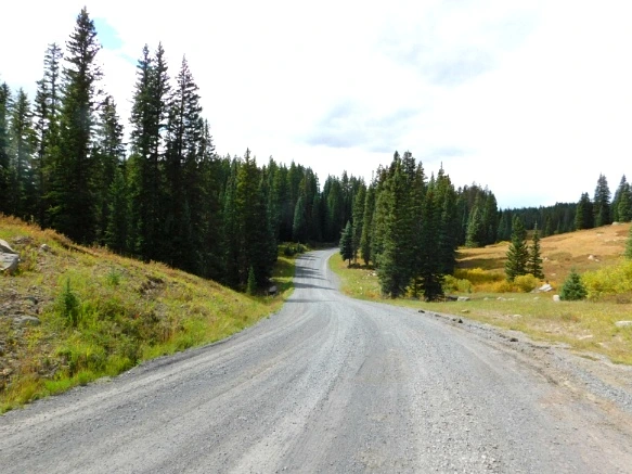 9924383359BF48C6259A82