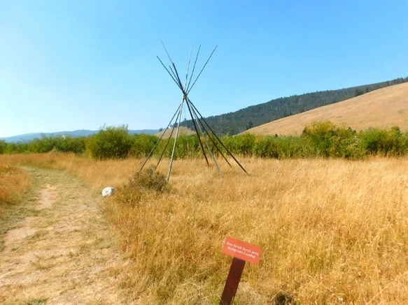 99AADC3359AB2BBB118B54