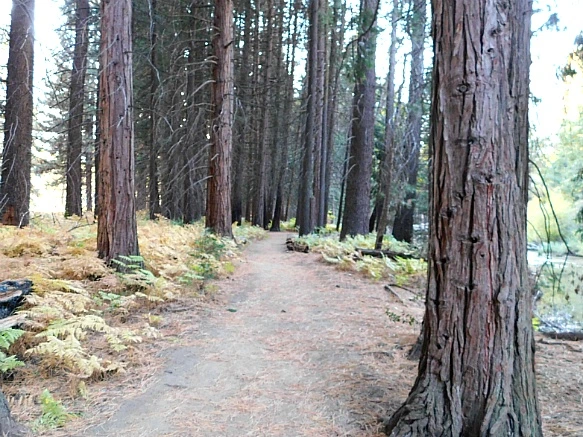 992EA3485BDBD9AD092ECE