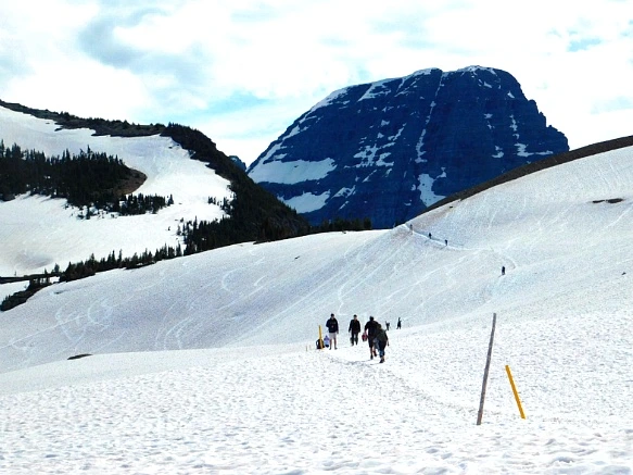 991EA54F5B35777908AEF7