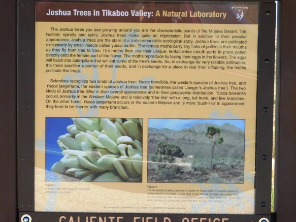 26267C42576CC66B340E9D