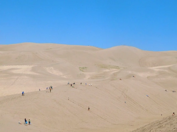 995369425B6920222DF826