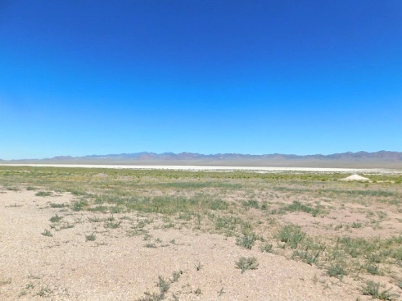 261D1142576F44B7305041