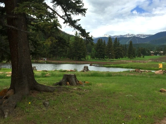 2116A343575E3334083E99