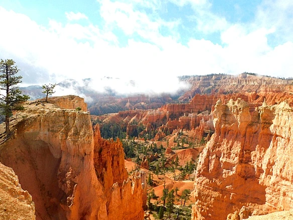 99E9304D5BC56AEC1C42E4