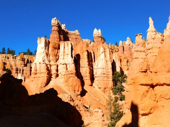 99D8C6335A1A3B49312043