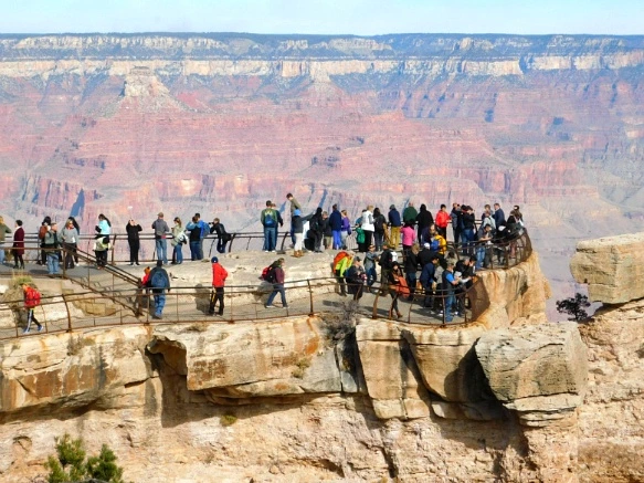 995D02335A1F61D203EFEB