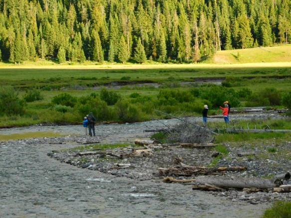 996D993A5B3AF9B125AAEA