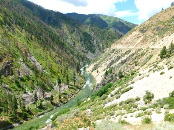 9956AA3C5B2F2512315265