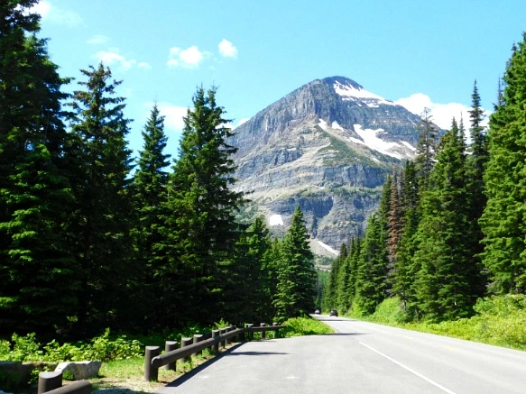 99077E505B3573E50BAD20