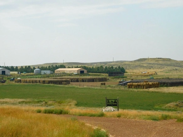 99D57A425B77A1CA372484