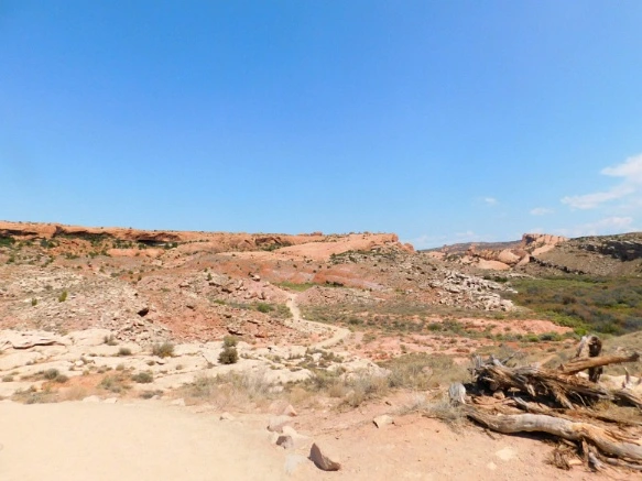 99289F3359B3177503C4D0