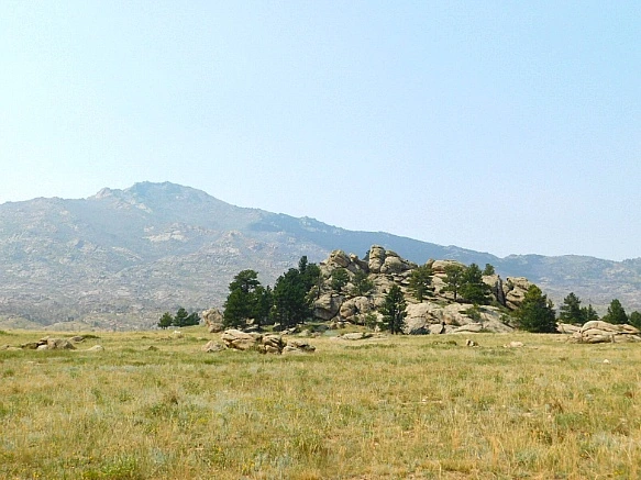 990514455B76540C215CBE