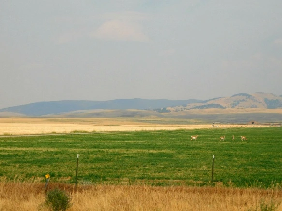 99755833599E4F6407F363