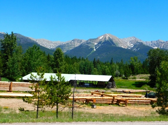 996E15485B39A5652B670B