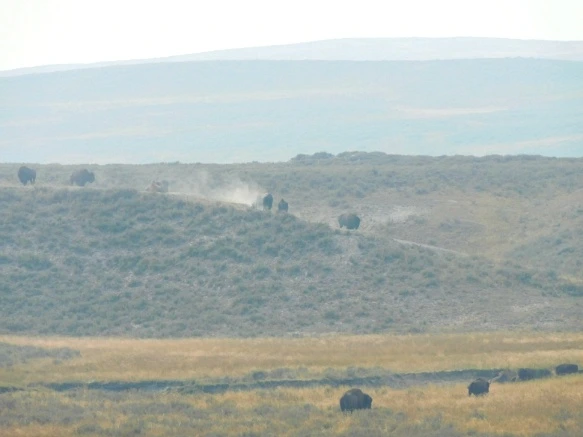 9949183359AF0FE6268AF8