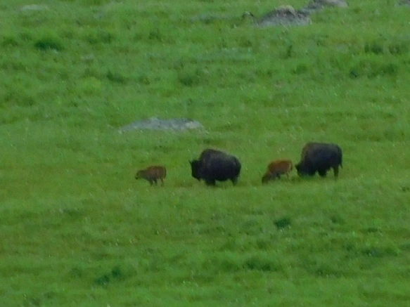 995E6C3F5B3AF2101B8CAD