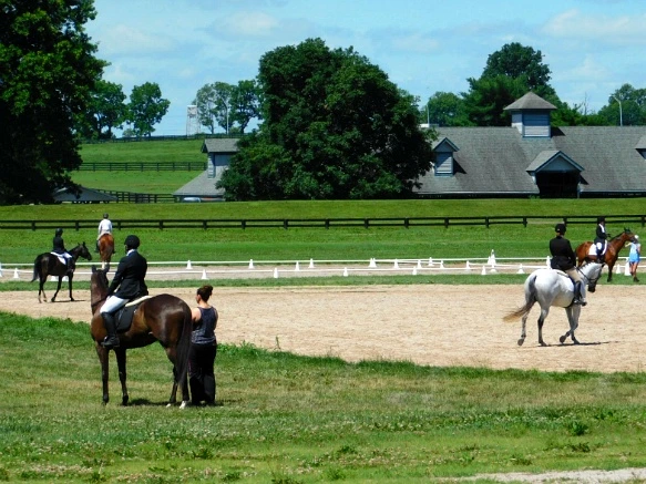 27E66F33597D16EB2C7D3F