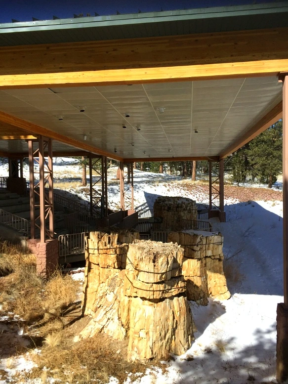 277FAD3956F735A72AED06