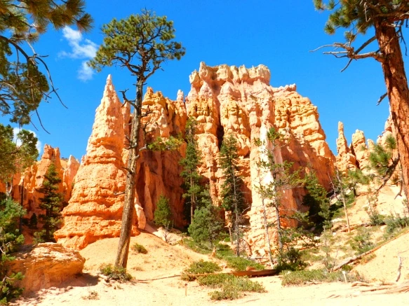 9965AC3359B878F2172714