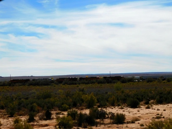 996E62495BE675E7316F03