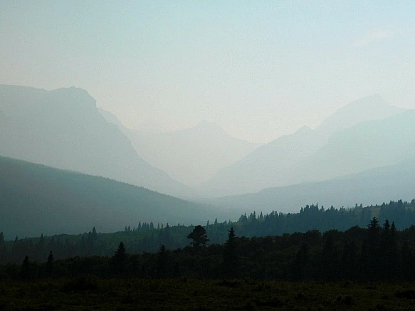 998F25485B837A1421ED6A