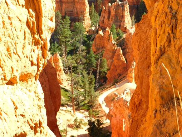 99A9083359B9BBE6259B91