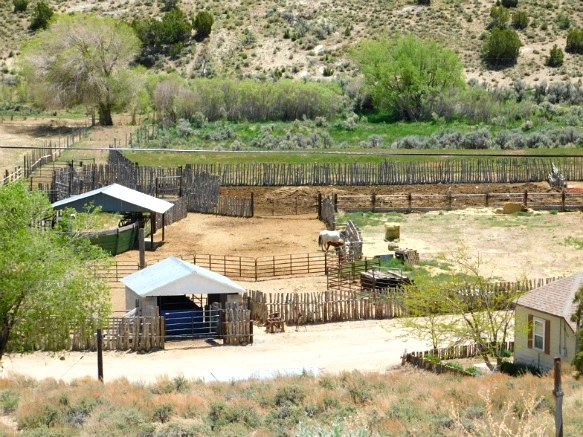 2754054559334DF20FD8F1