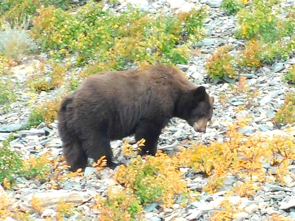 99A57A445B949D540F32EA