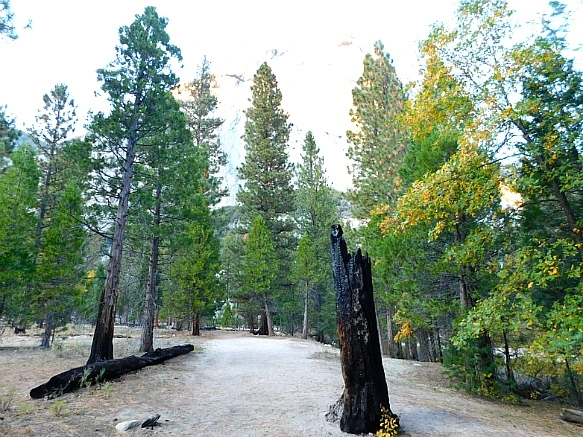 99F2F44D5BDBDB1F22315F