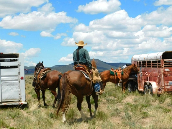 25263F435936351D0555C1