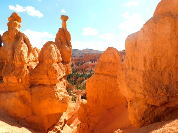 99A2BD3359B9BBDA24CB8D