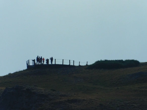 99E3E14A5B6BA49D31D71C