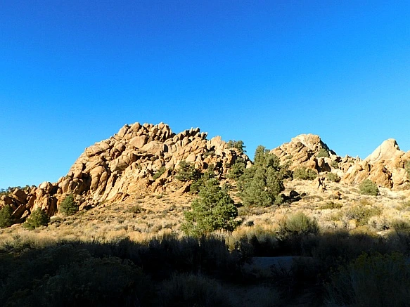 99EA94375BD3E4C3203FFF