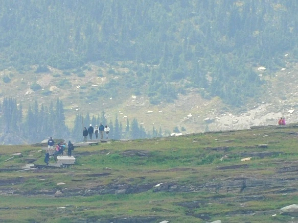 99E9C54C5B88ACFE067A42