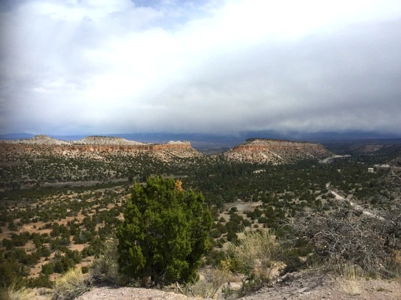 262227355707095A24427B