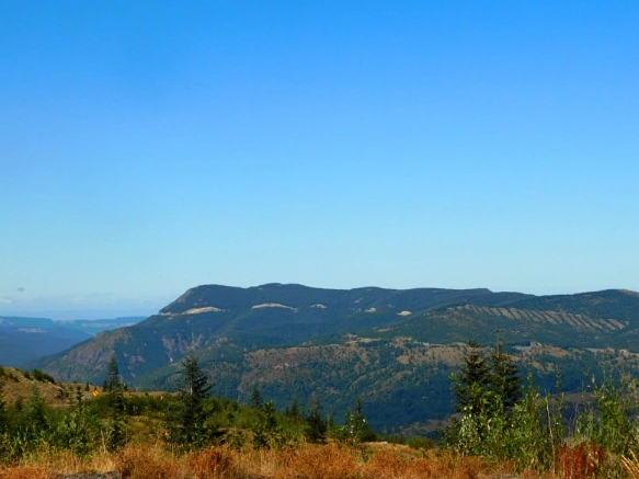 99B8683359A4D3551A0F73