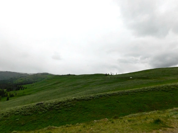 99442F495B39A84D34BA29